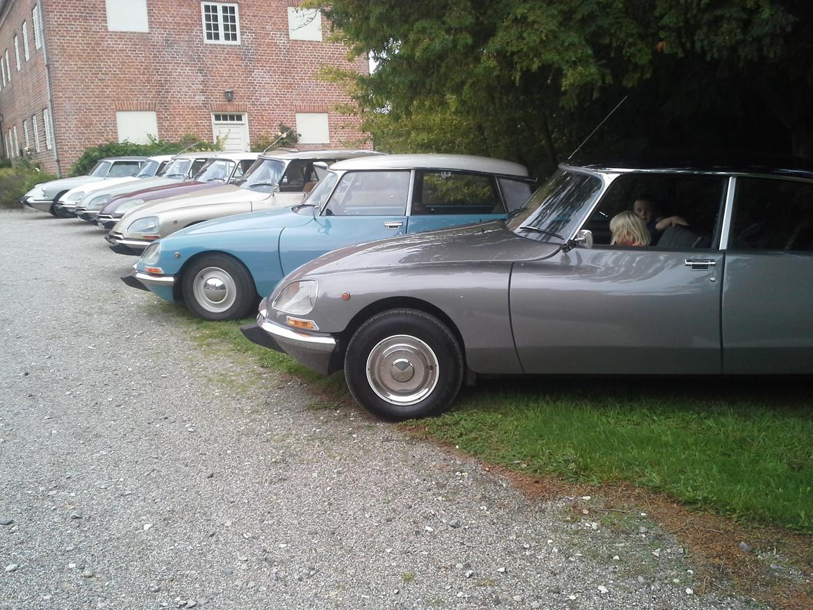 Citroën ds 20 billede 20