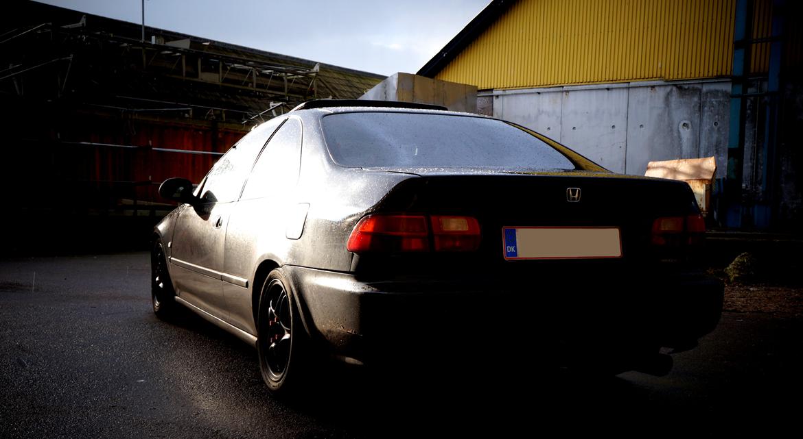 Honda civic eg coupe billede 7