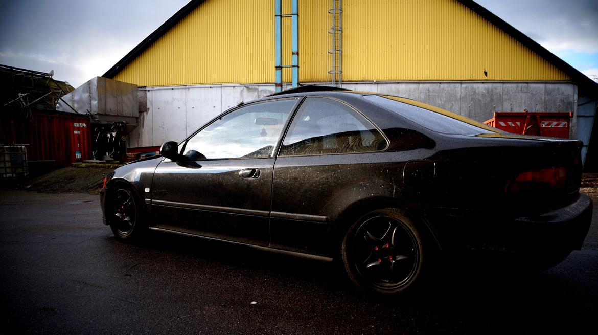 Honda civic eg coupe billede 8