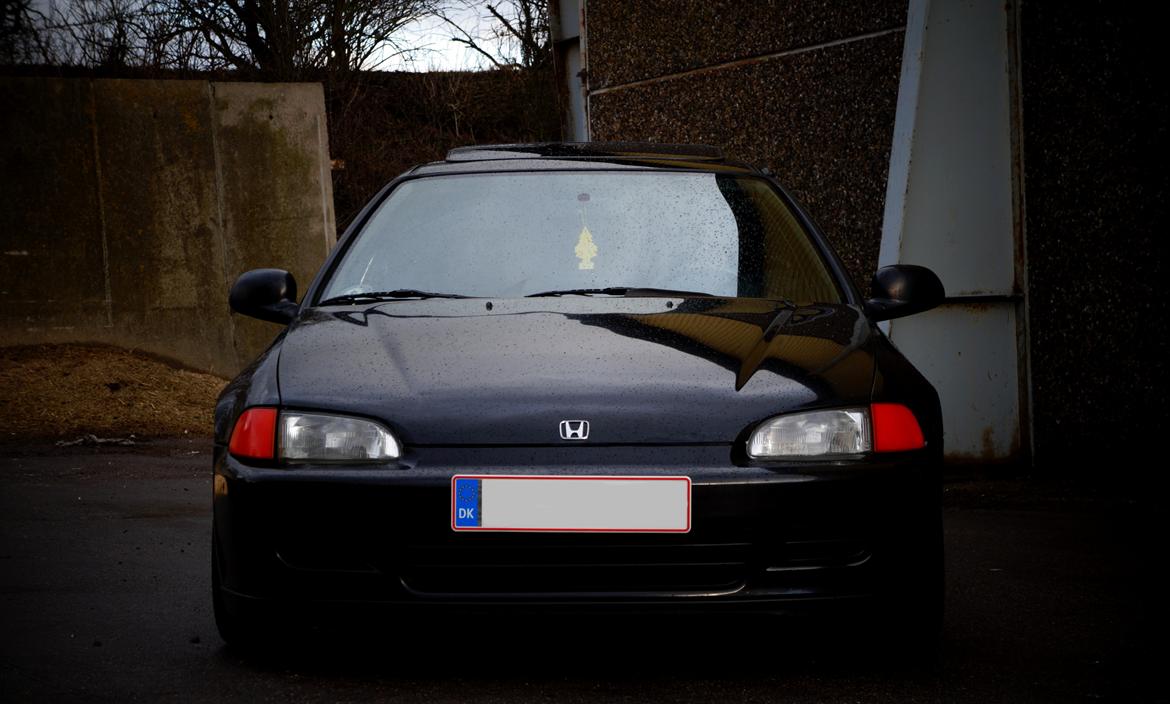 Honda civic eg coupe billede 11