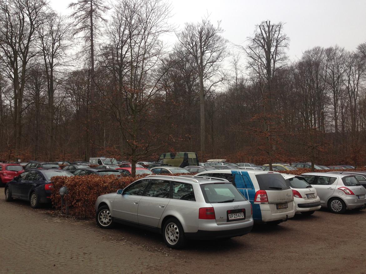 VW LT35  - Kan du Gætte hvor jeg er ? jeg nemlig carmofleret billede 5