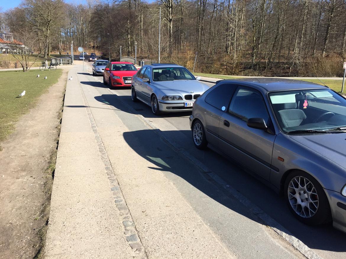 BMW 523i / SOLGT billede 2