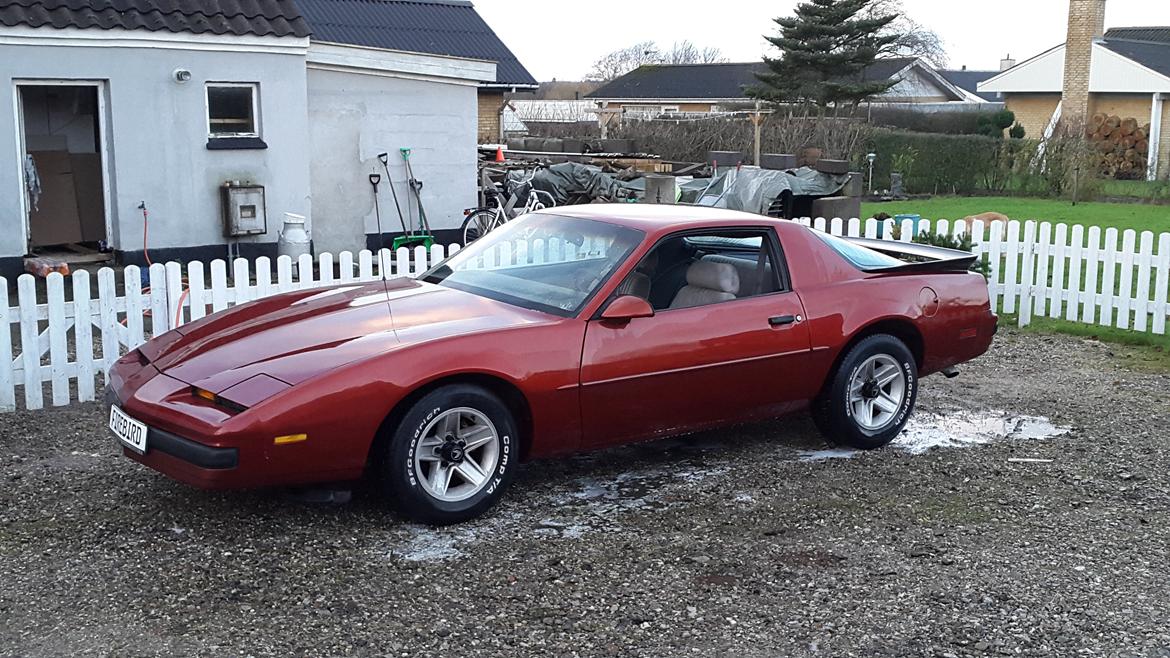 Pontiac Firebird ( solgt )  billede 1