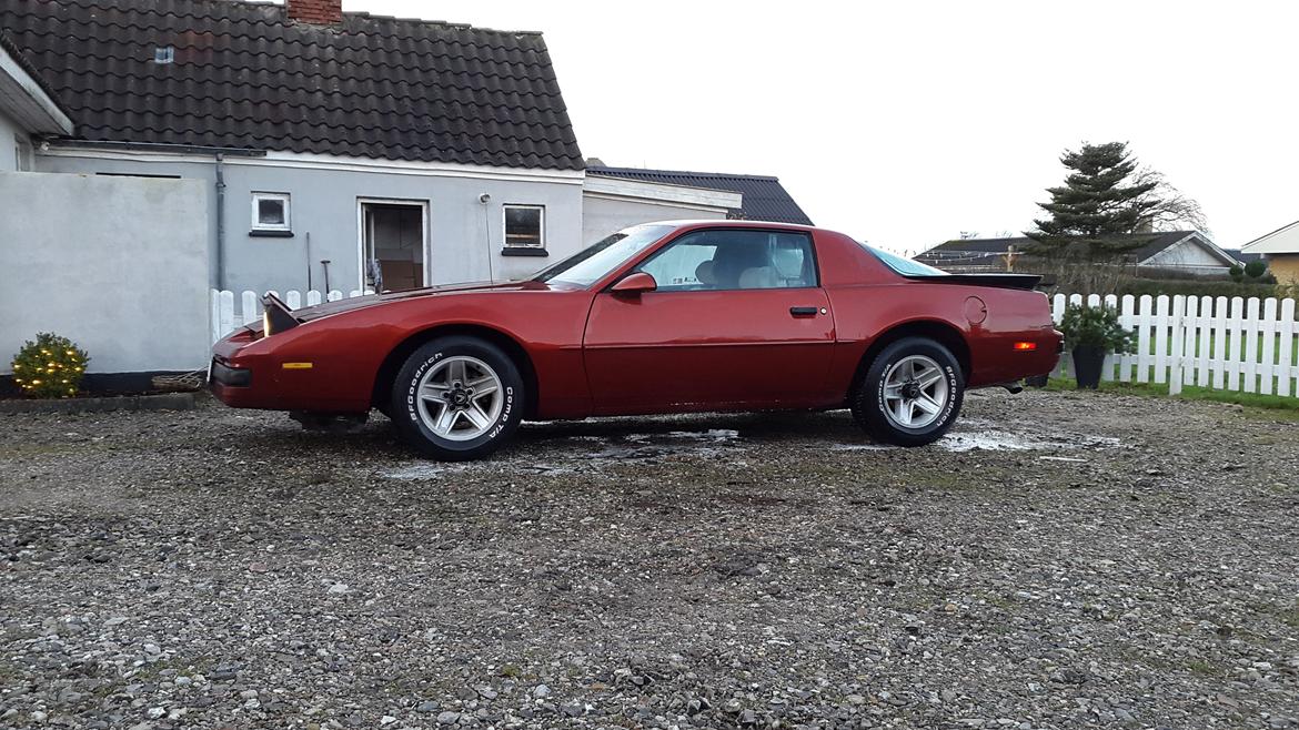 Pontiac Firebird ( solgt )  billede 5