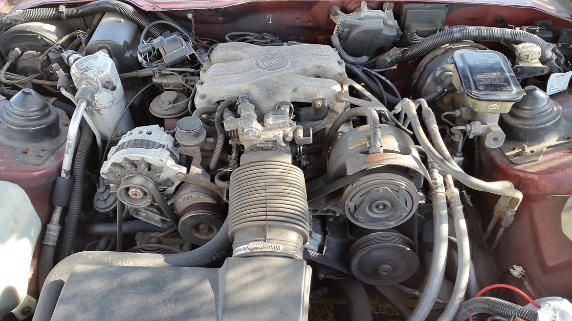 Pontiac Firebird ( solgt )  billede 12