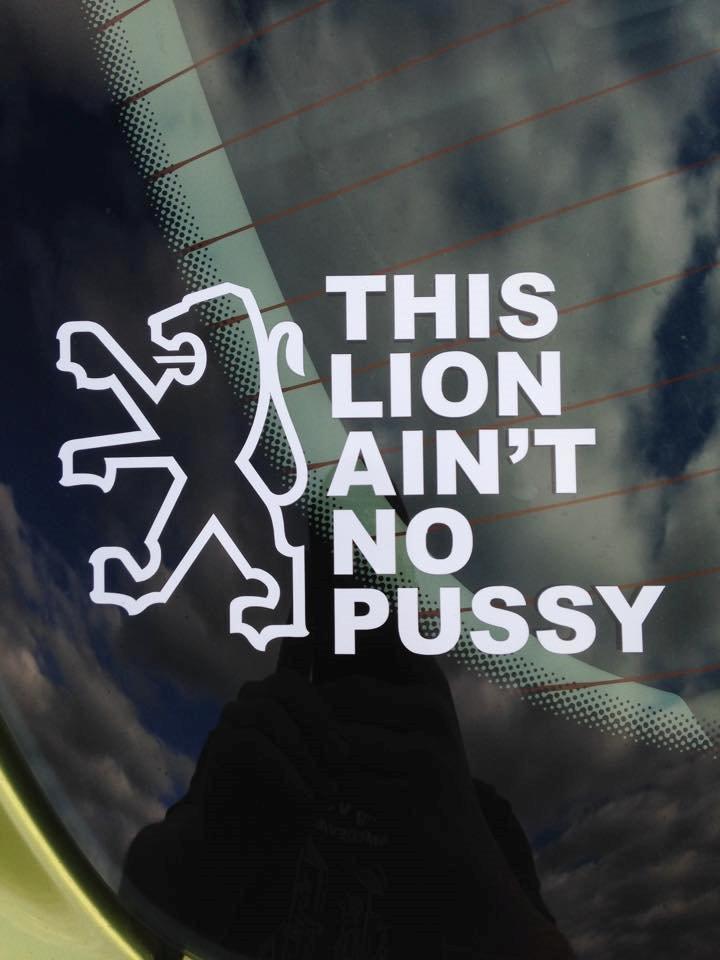 Peugeot 207 GT billede 14