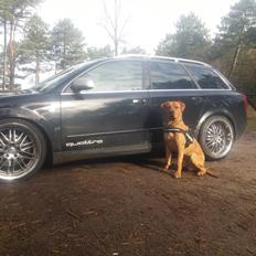 Audi A4 Avant 2,5 TDI V6 Quattro