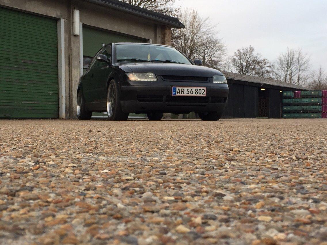 VW Passat 3B billede 11