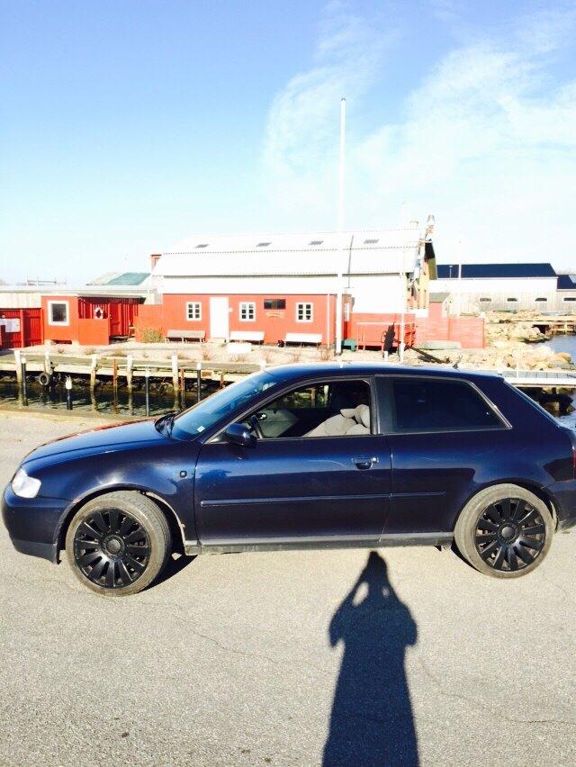 Audi A3 8l billede 6
