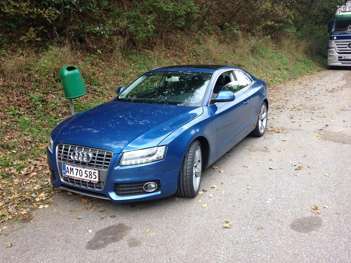 Audi A5 3.0 TDI Quattro  billede 2