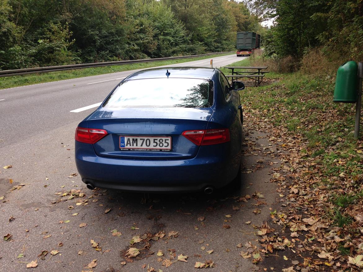 Audi A5 3.0 TDI Quattro  billede 4