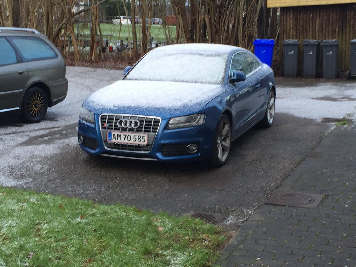 Audi A5 3.0 TDI Quattro  billede 11