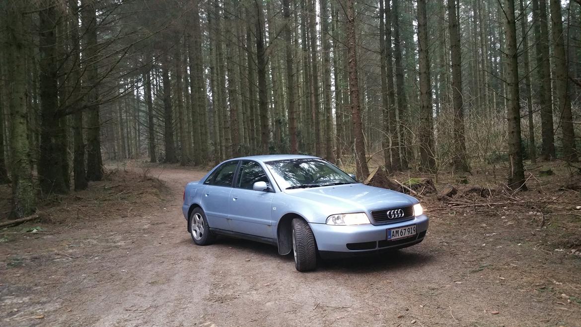 Audi A4 1.9 TDI  billede 8