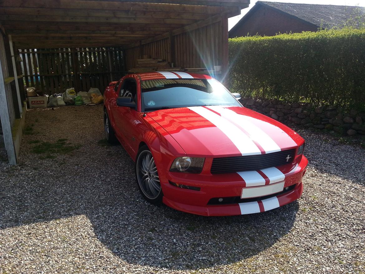 Ford Mustang GT billede 5