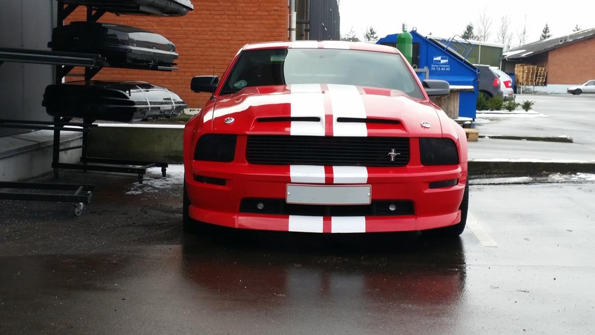 Ford Mustang GT billede 3