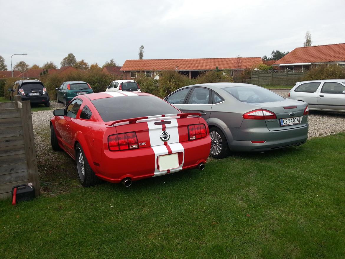 Ford Mustang GT billede 8