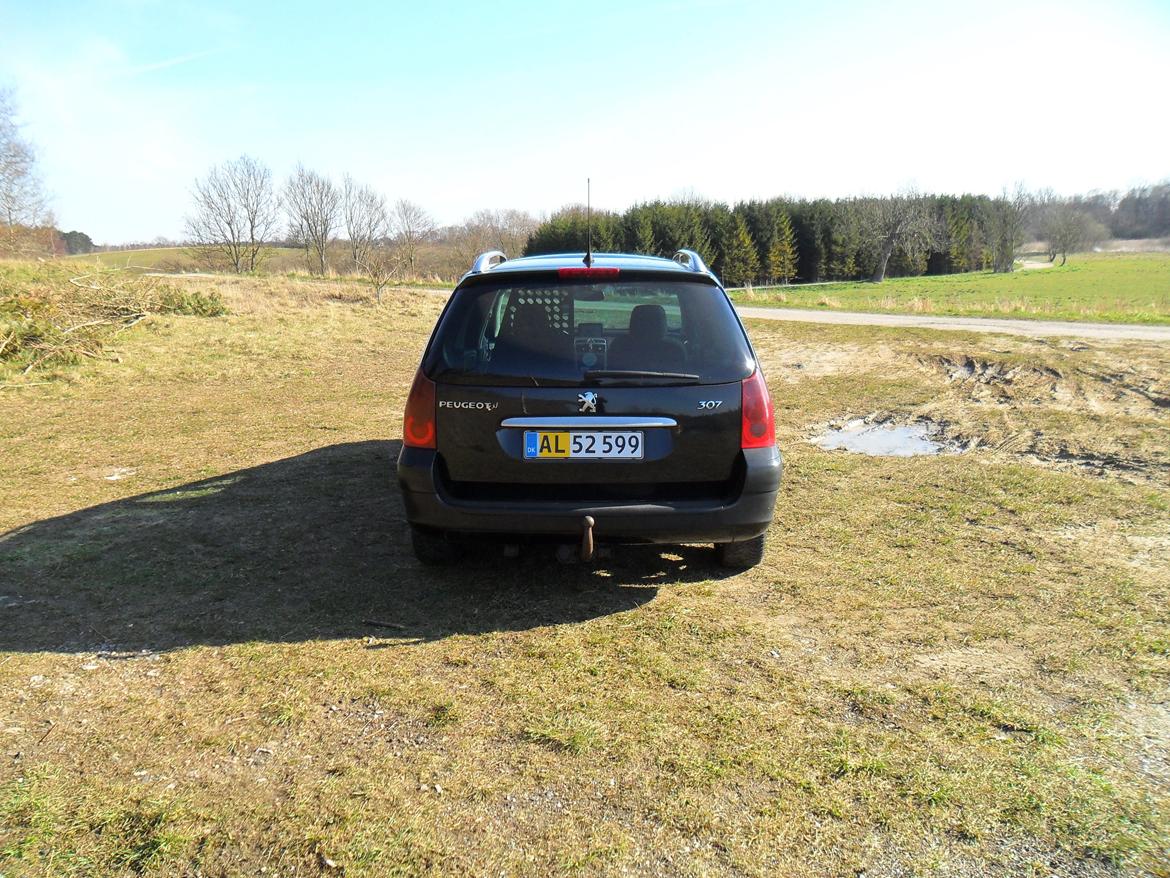 Peugeot 307 2,0 HDI Air van billede 5