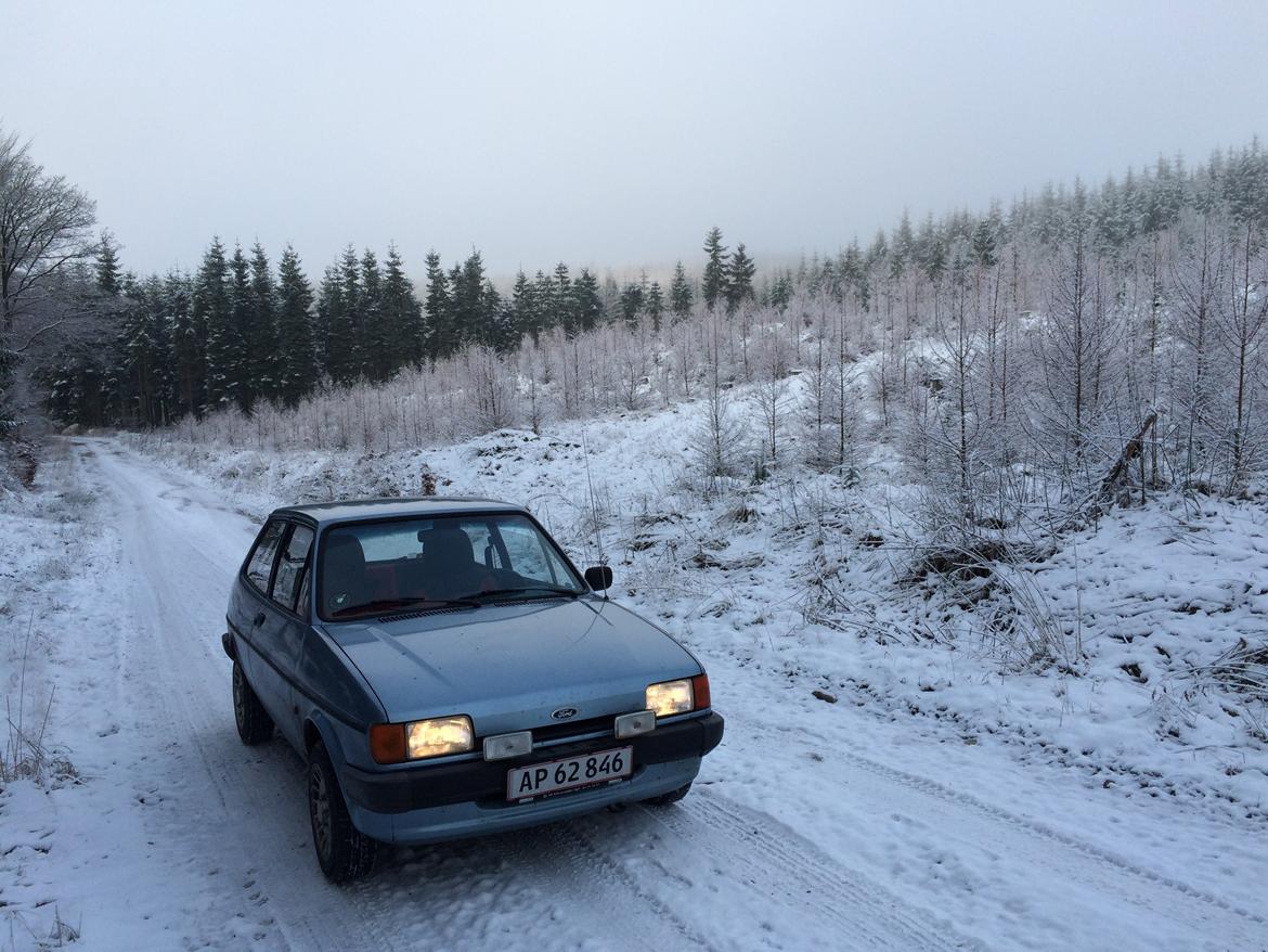 Ford Fiesta Mk2 billede 5