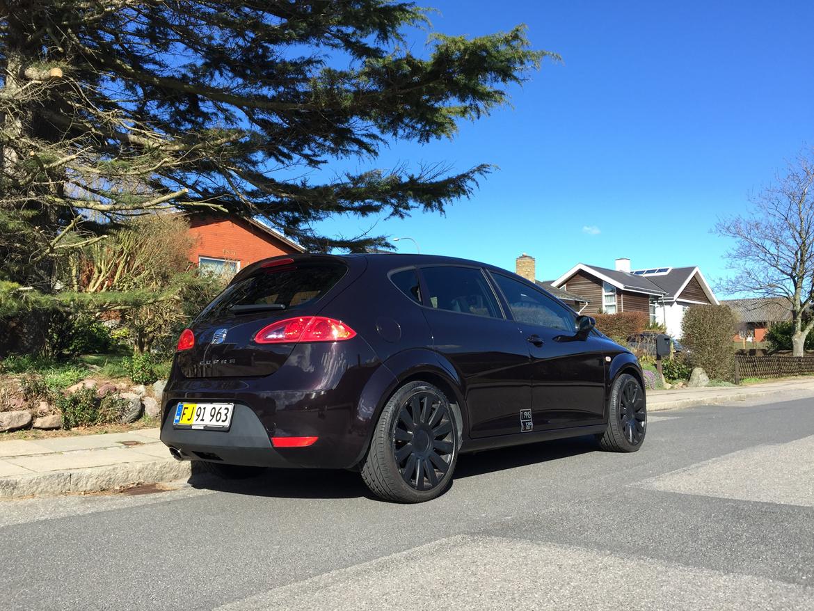 Seat Leon Cupra 2.0 TFSI billede 10