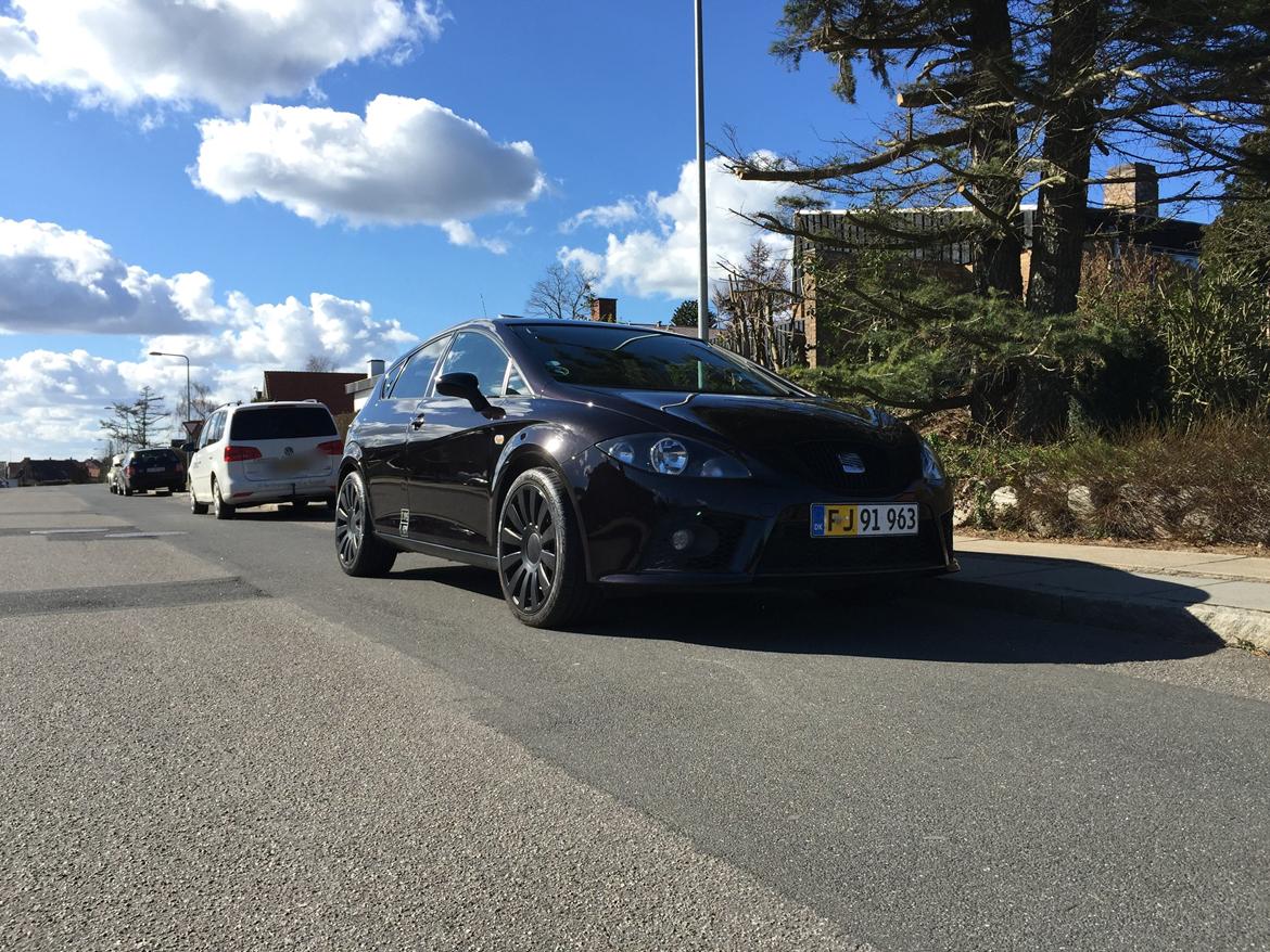 Seat Leon Cupra 2.0 TFSI billede 1