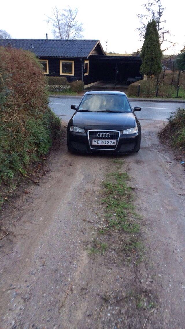 Audi A3 1,8 TURBO billede 17