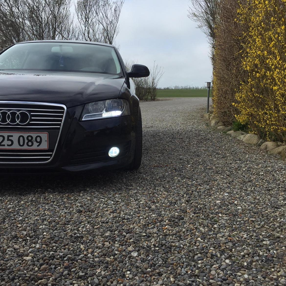 Audi A3 1.8 TFSi billede 3