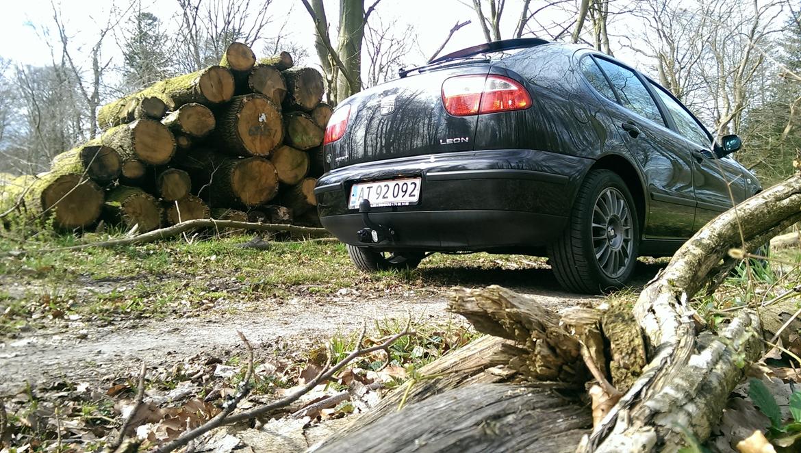 Seat Leon 1.6 16v Stella billede 4