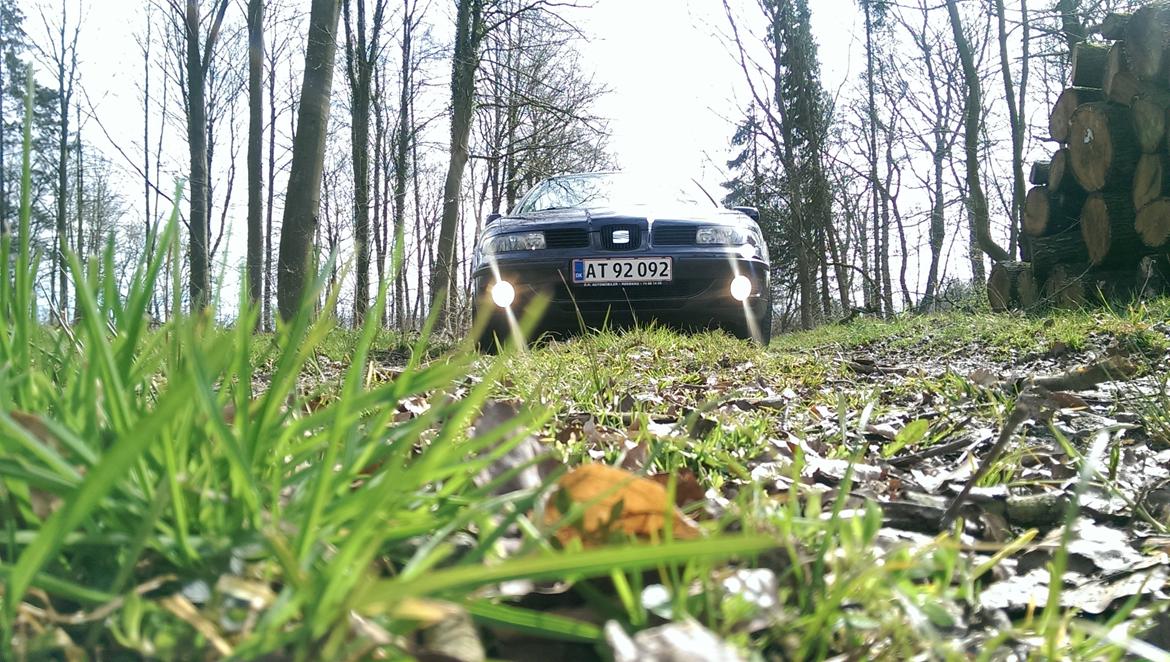 Seat Leon 1.6 16v Stella billede 9