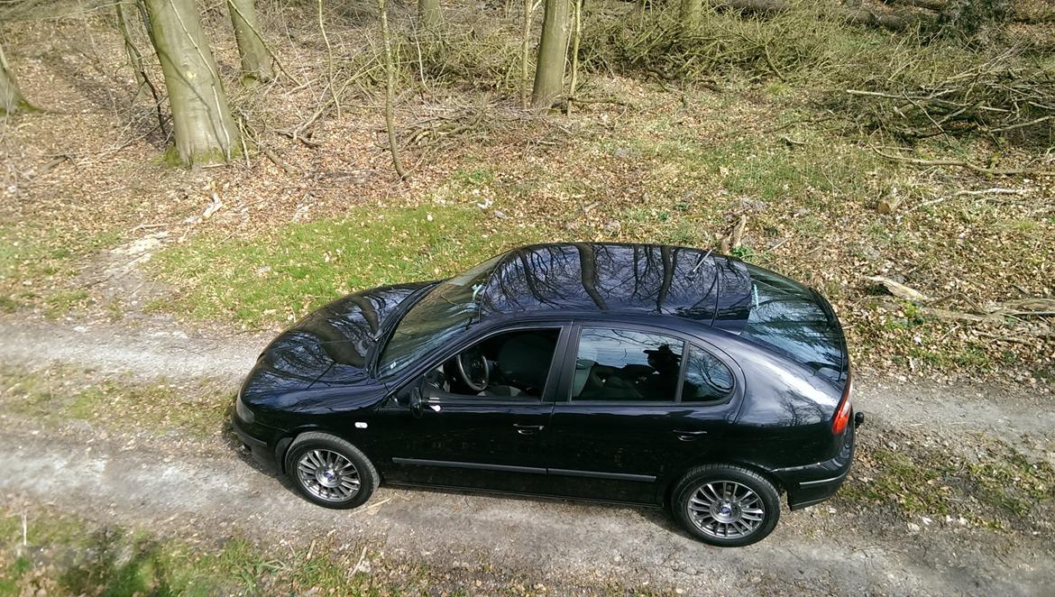 Seat Leon 1.6 16v Stella billede 7