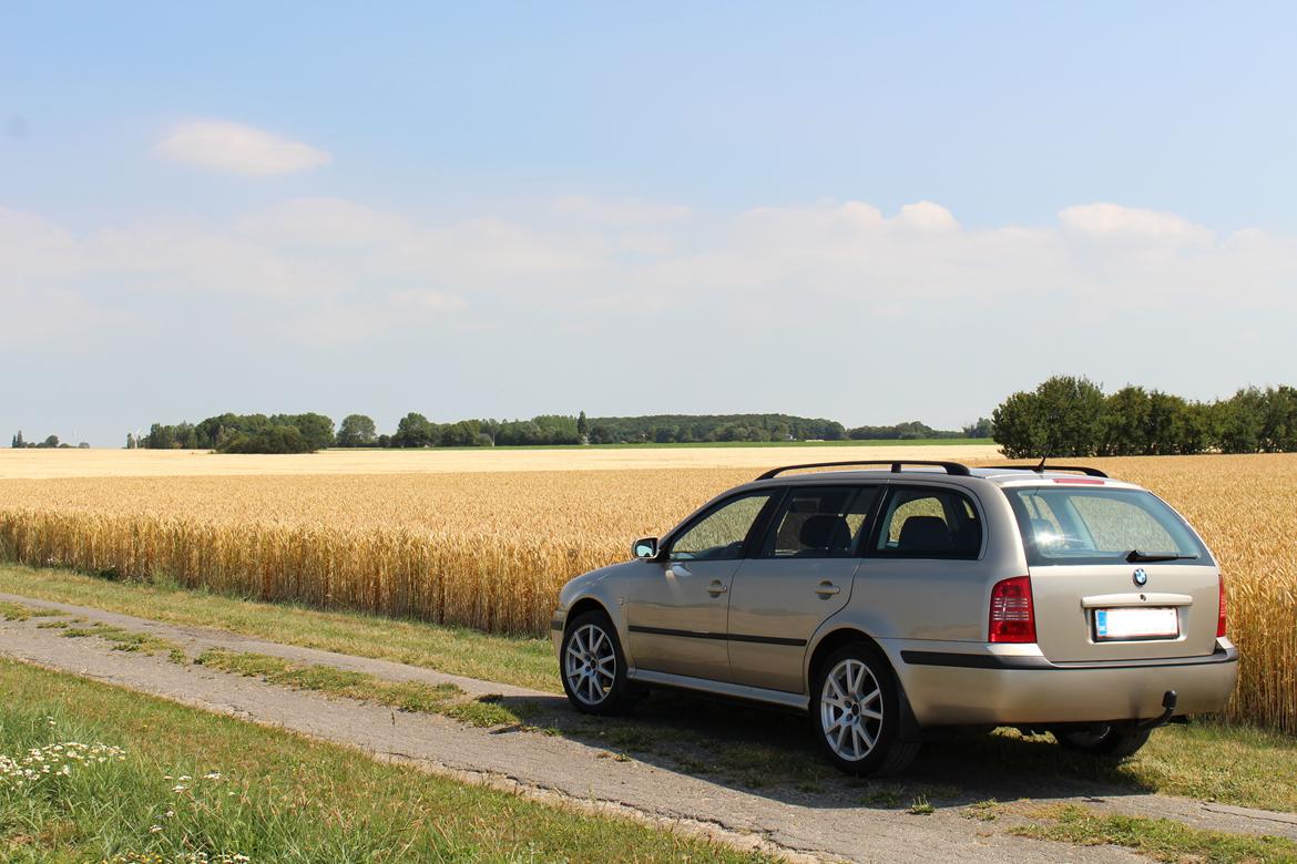 Skoda Octavia Combi billede 2