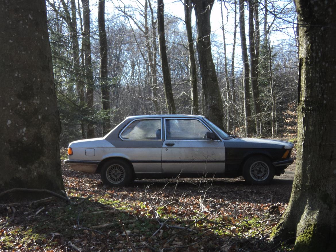 BMW E21 320/6 (MR) billede 28