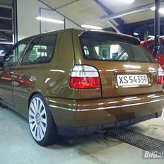 VW golf 3=det brune punktom=