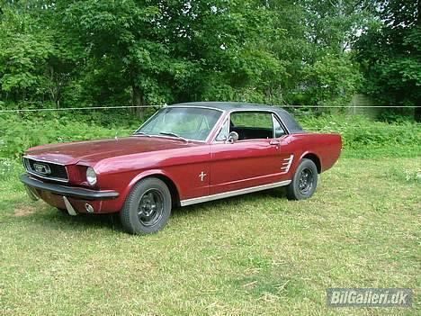 Ford Mustang - Solgt - Taget i sommers billede 1