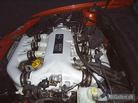 Opel Vectra B billede 4