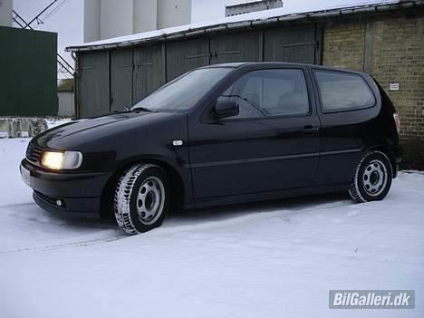 VW polo 6n  (Flex) billede 1