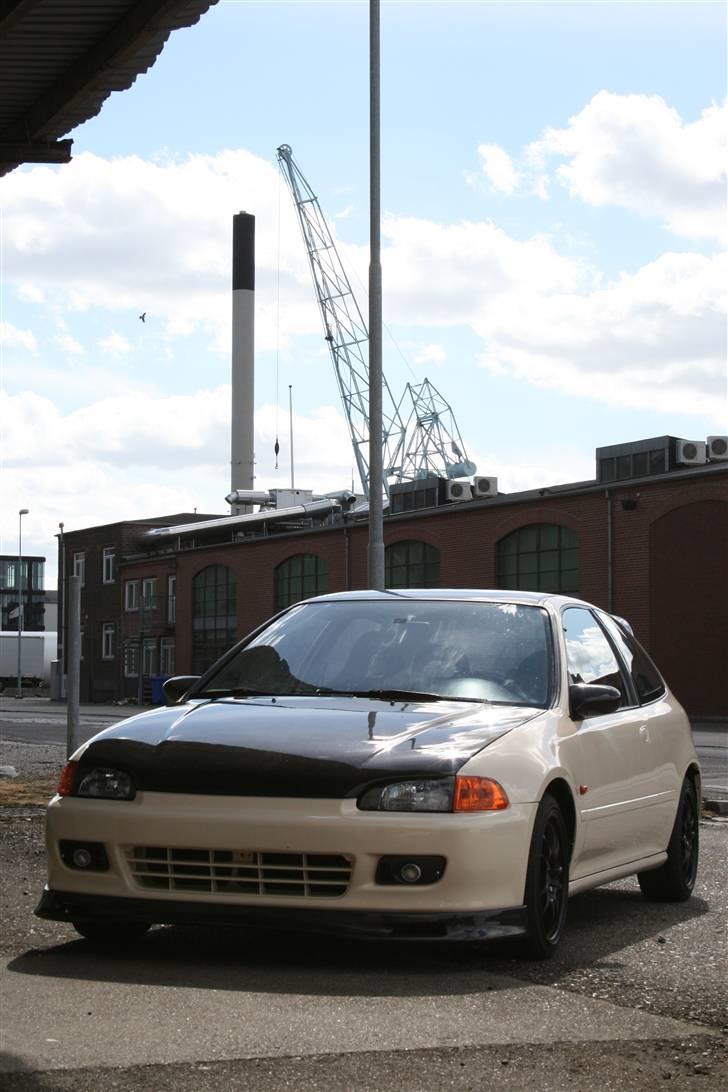Honda Civic - ægget -  - nede og lege på havnen i Århus  billede 5