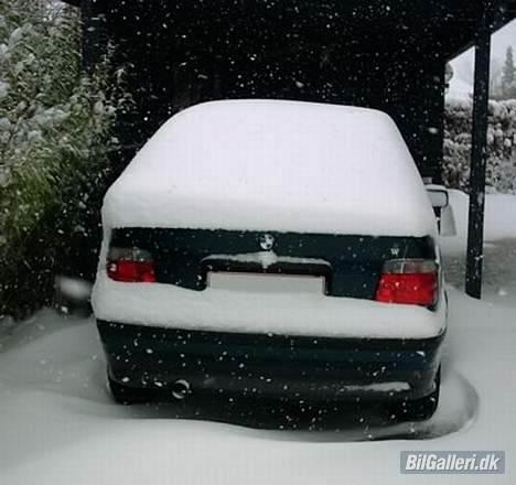 BMW E36 316i compact bavaria - torsdag formiddag billede 11