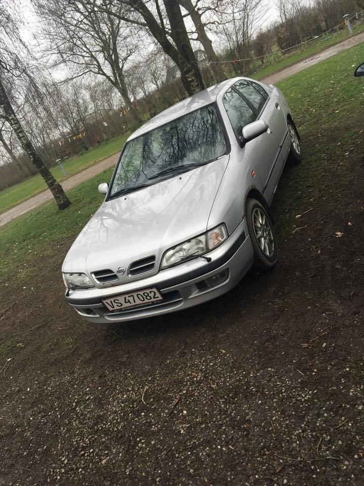 Nissan primra billede 8