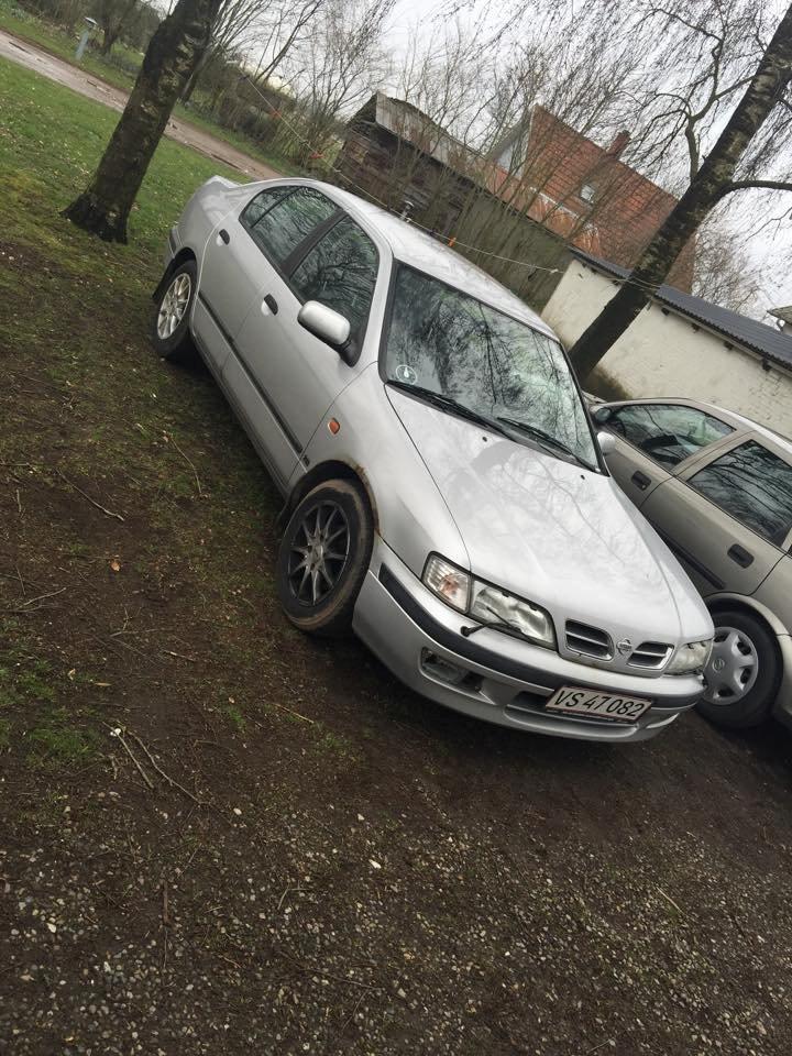 Nissan primra billede 10