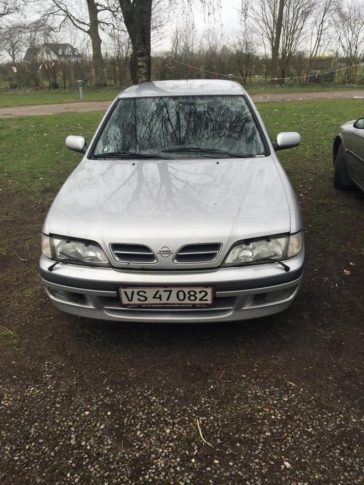 Nissan primra billede 15