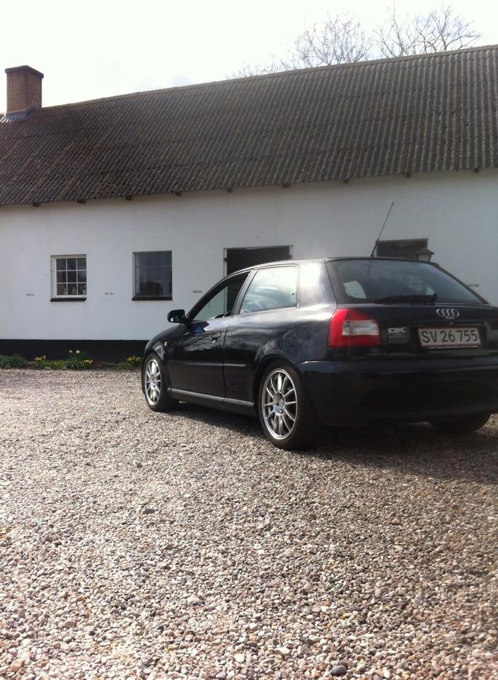 Audi A3 8L Ambition  billede 2