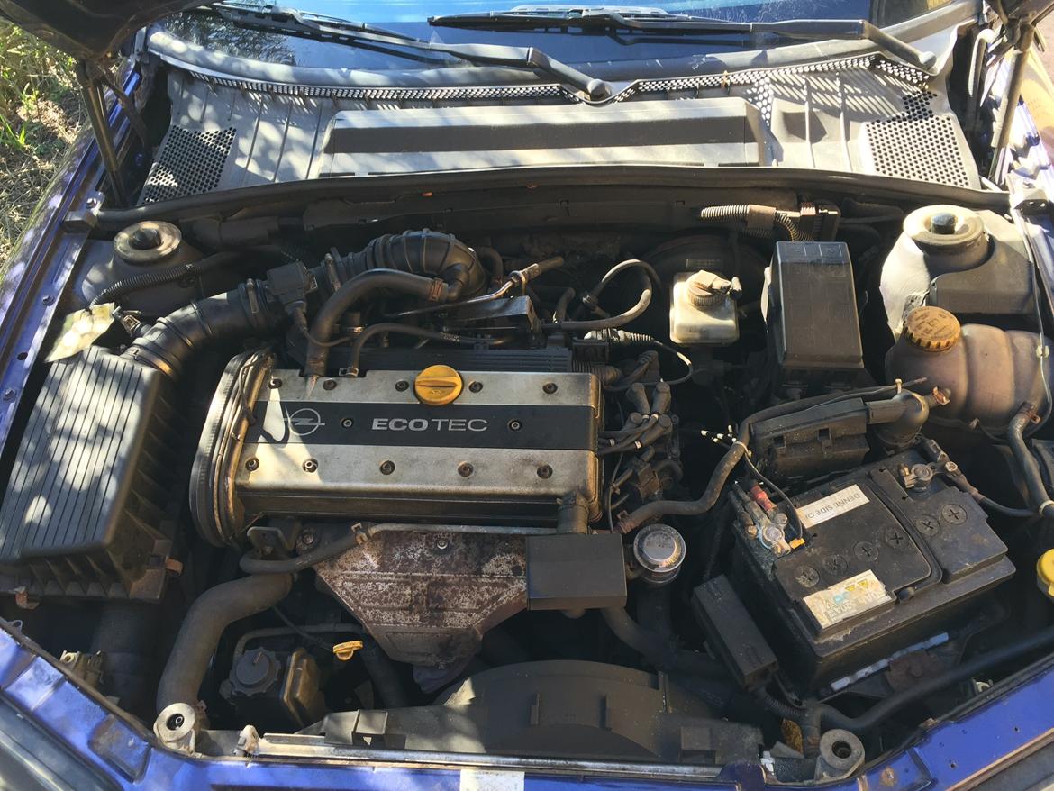 Opel Vectra B billede 2