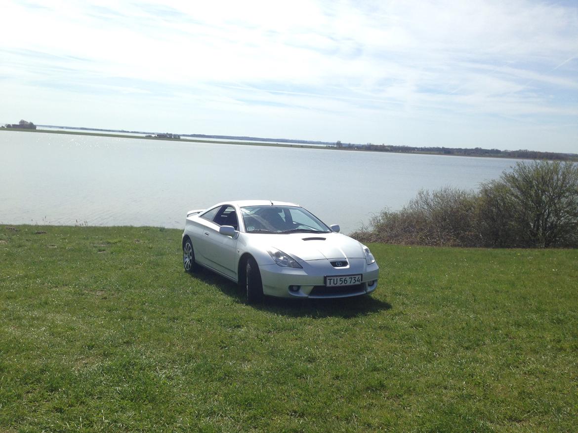 Toyota Celica (SOLGT) billede 6
