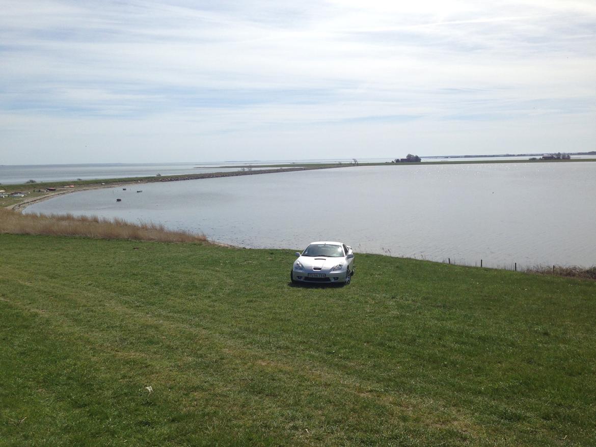 Toyota Celica (SOLGT) billede 33