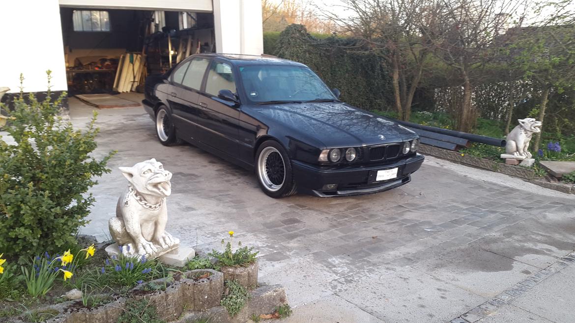 BMW bmw e34 540i 6 speed manuel billede 1