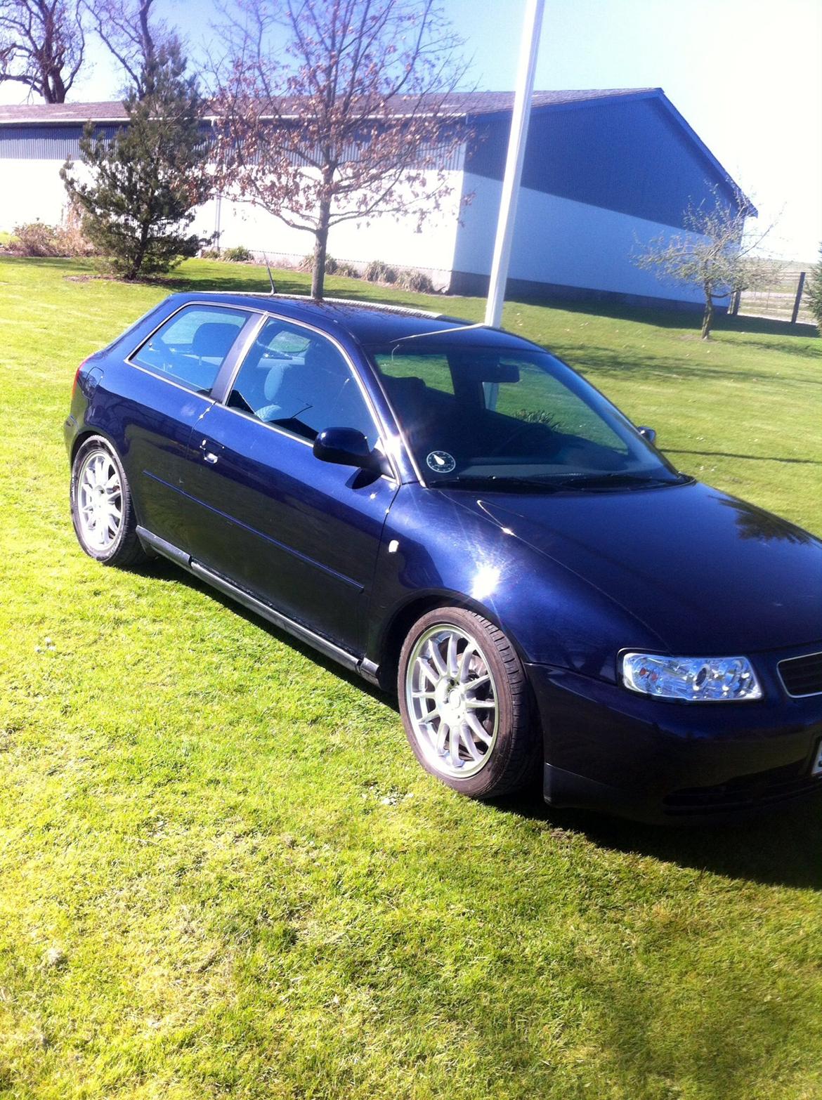 Audi A3 8L Ambition  billede 8