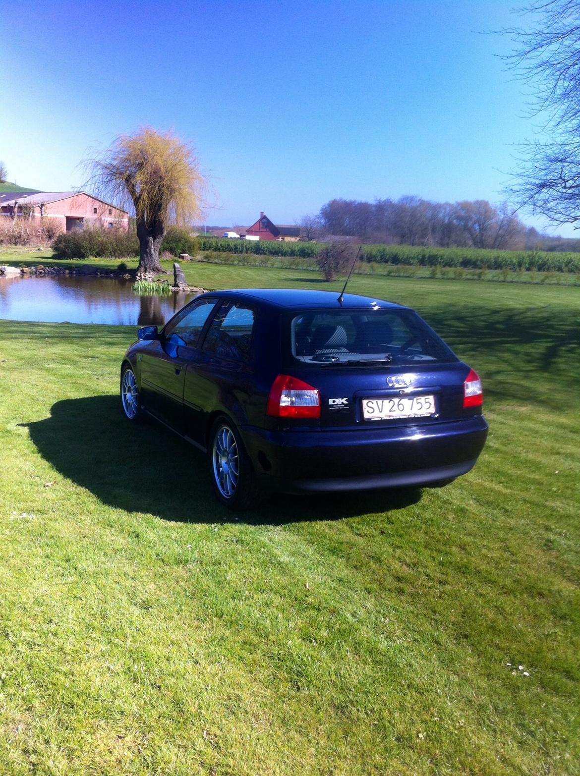 Audi A3 8L Ambition  billede 10