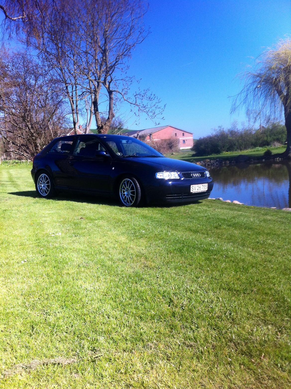 Audi A3 8L Ambition  billede 14