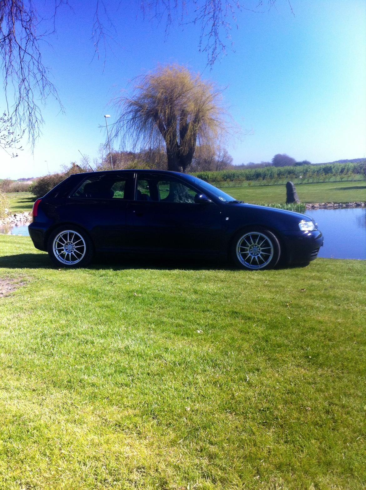 Audi A3 8L Ambition  billede 15