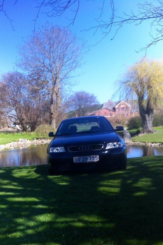 Audi A3 8L Ambition  billede 17